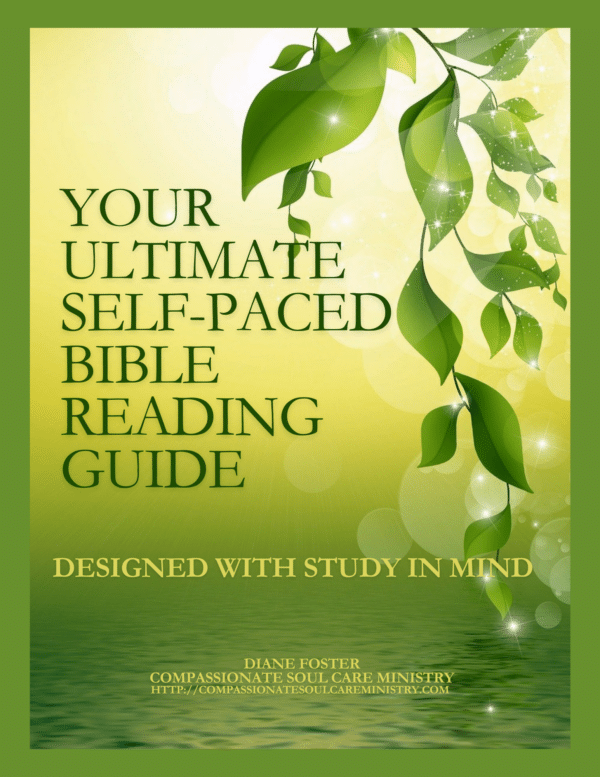 Your Ultimate Self-Paced Bible Reading Guide