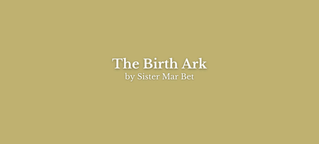 The Birth Ark