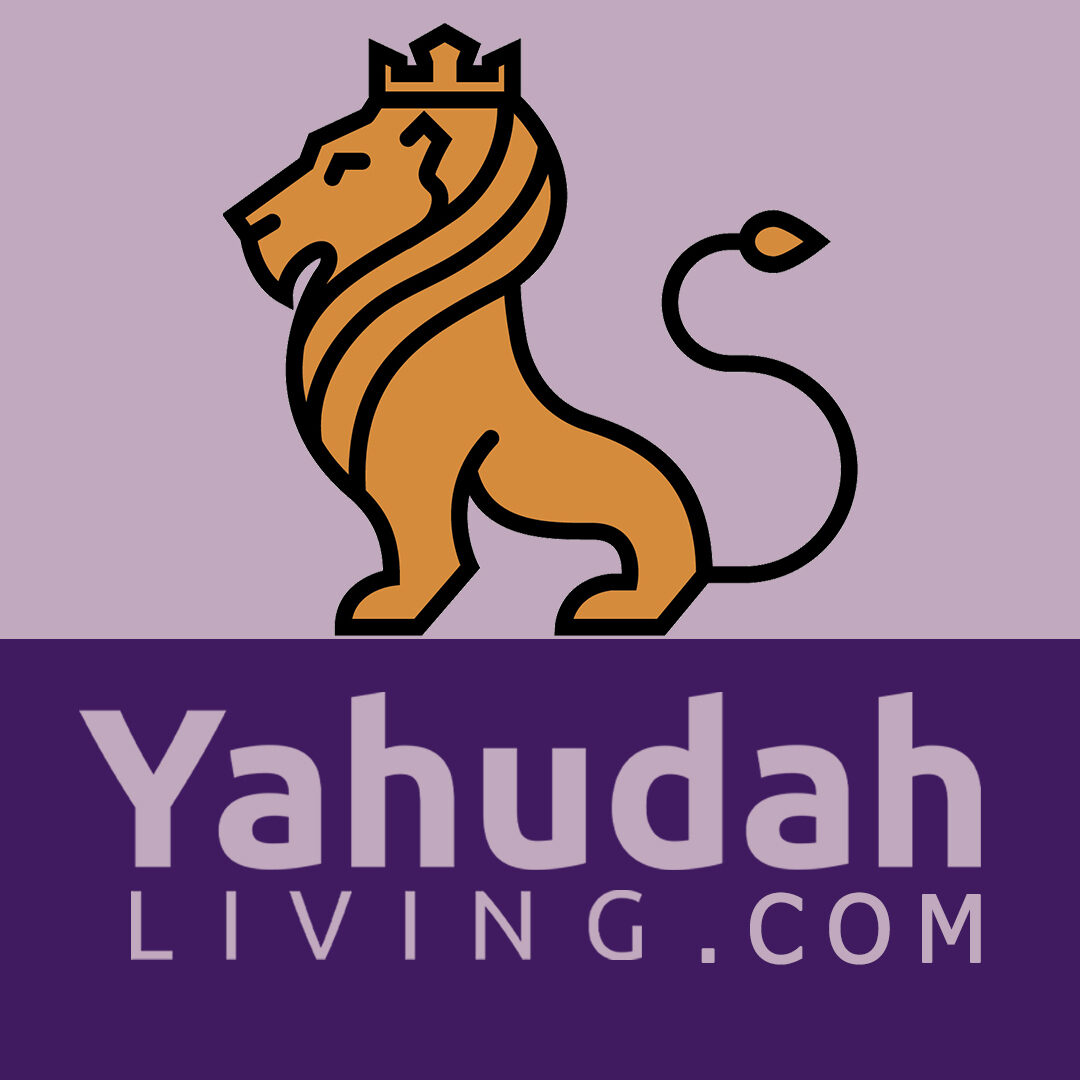 Yahudah Living